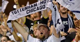 Spurs fan